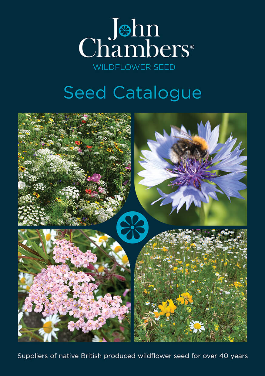 John Chambers Wildflowers Seeds