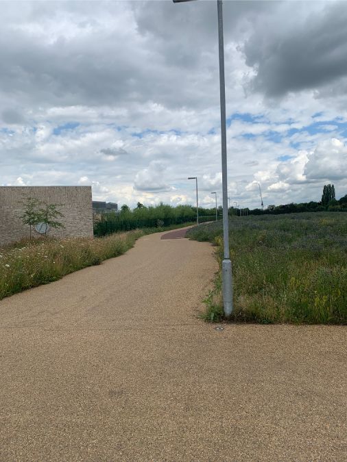 John Chambers Wildflower Seed supplied for new sustainable-living neighbourhood in Cambridge