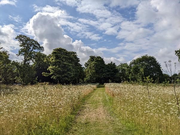 National Trust Ormesby Meadow