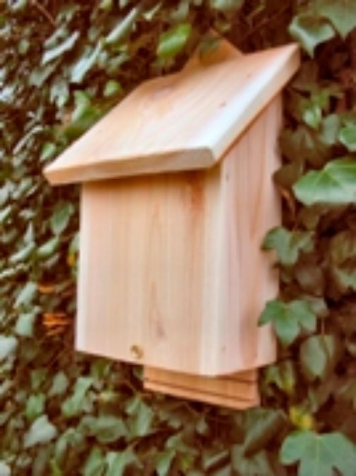 New range of Bat Boxes available