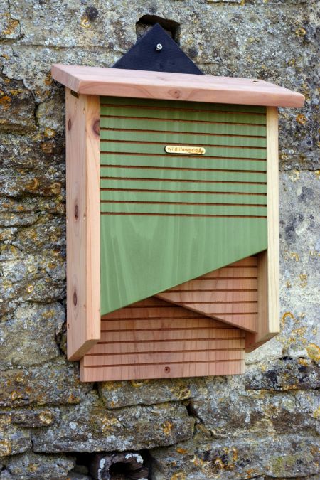 New range of Bat Boxes available