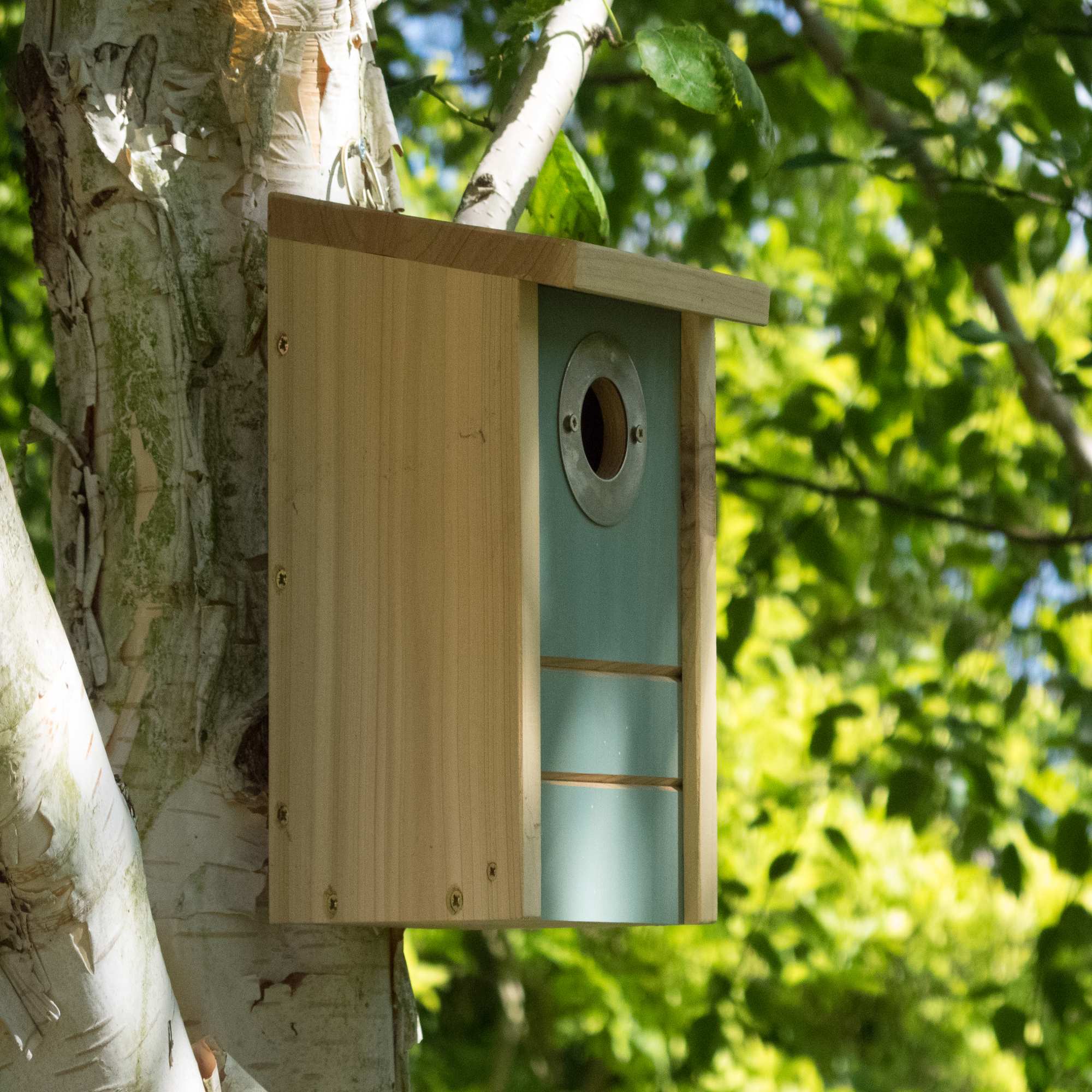 Wildlife Feeders, Habitat Boxes & Feed