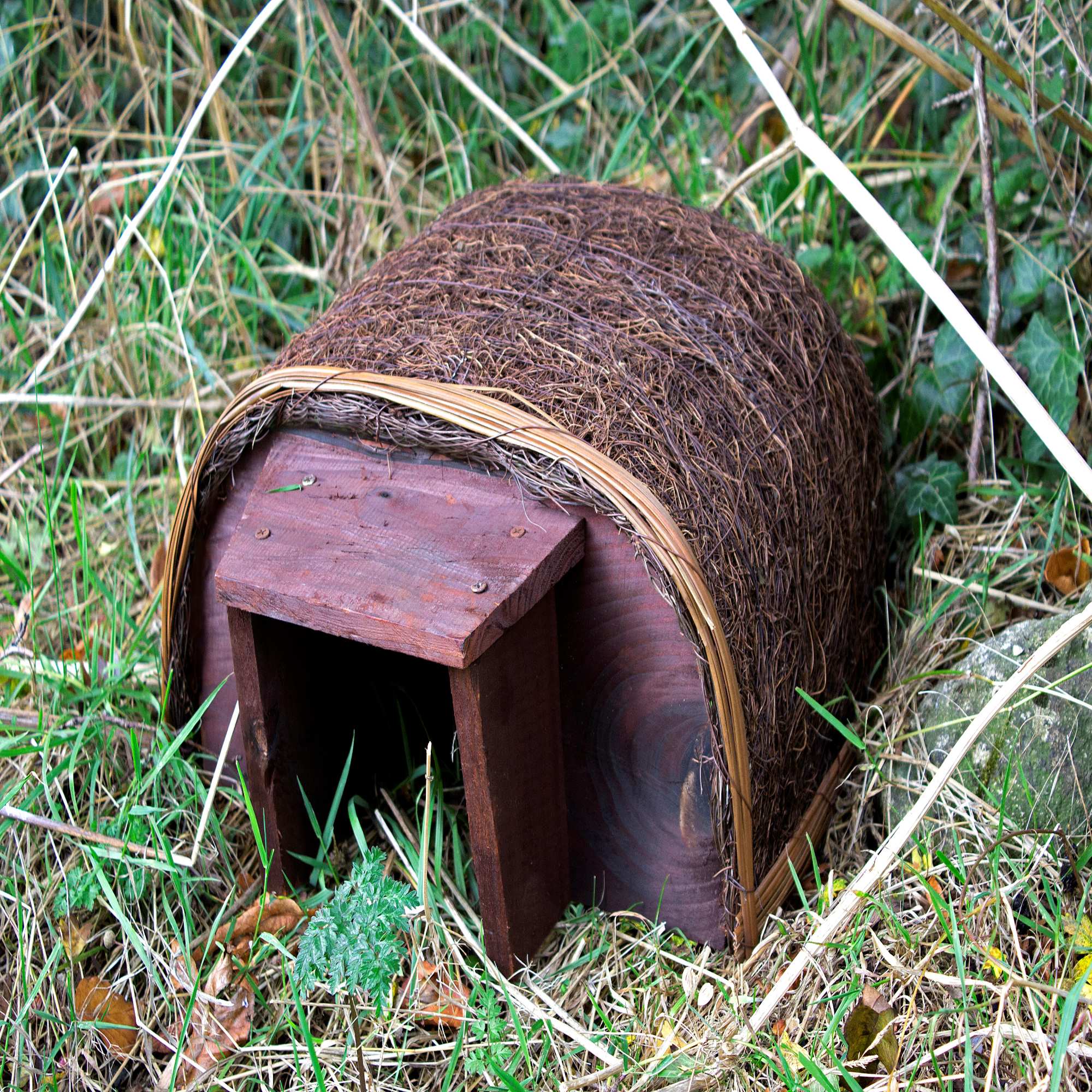 Protecting Hedgehogs